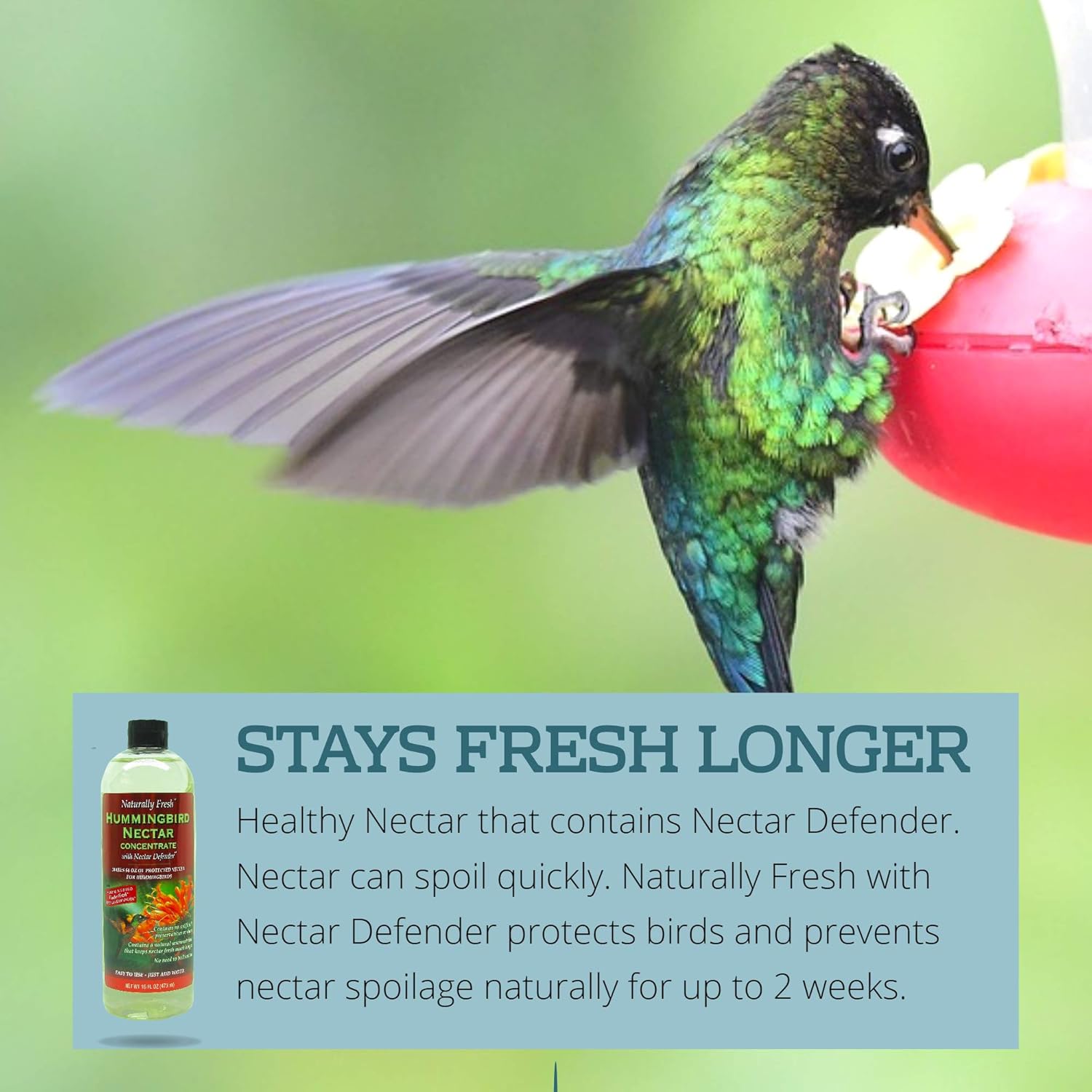Naturally Fresh Hummingbird Nectar with Nectar Defender Lasts Longer in Hummingbird Feeders | Clear Hummingbird Nectar Concentrate for Outdoor Hummingbird Feeders | Makes 64 ounces : Garden & Outdoor
