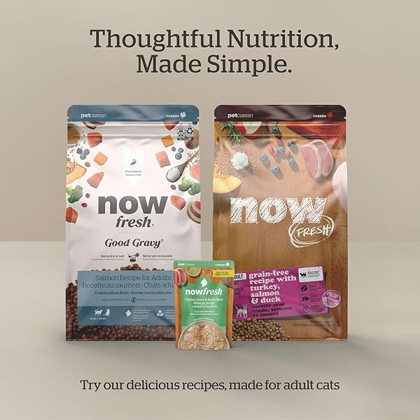 NOW FRESH GOOD GRAVY GRAIN-FREE DRY CAT FOOD WITH SALMON, HEALTHY KIBBLE FOR ADULTS & SENIORS COATED IN BONE BROTH – JUST ADD WATER TO MOISTEN, CHICKEN-FREE RECIPE FOR SENSITIVE STOMACHS, 8 LB BAG
