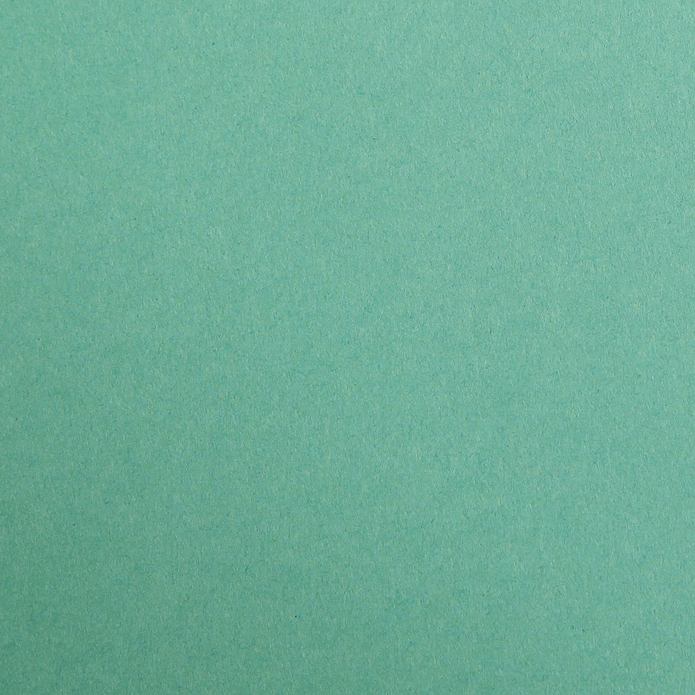 Clairefontaine - Ref 97151C - Maya Coloured Smooth Drawing Paper (Pack of 25 Sheets) - 120gsm Paper - 50 x 70cm - Dark Green Colour - Deep Dyed, Acid Free, pH Neutral