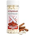 XyloBurst - Xylitol Mints | Sugar Free Breath Mints for Oral Health | Gluten Free, Vegan, Keto Friendly | Aspartame Free Mint | Cinnamon | 200 Count Jar