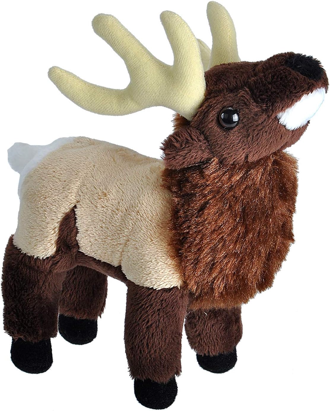 small red teddy bear