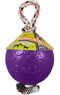 jolly ball with rope