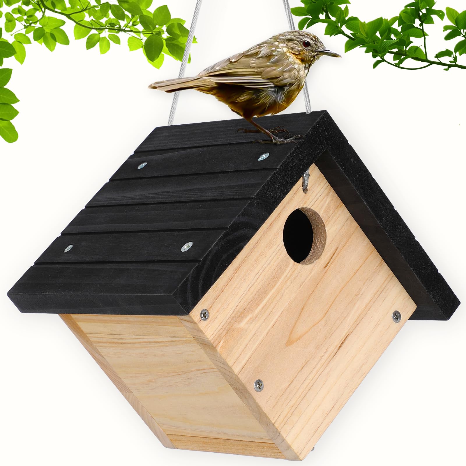Photo 1 of Gtongoko Hanging Wren Bird Houses for Outside, Cedar Wooden Bird Houses for Outdoors, Bird Nest with Air Vents, 1-1/8‘’ Entrance Hole, Clean Door for Wildbird Watching, 1 Pack Black