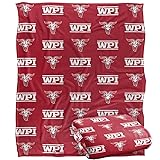 Worcester Polytechnic Institute Engineers