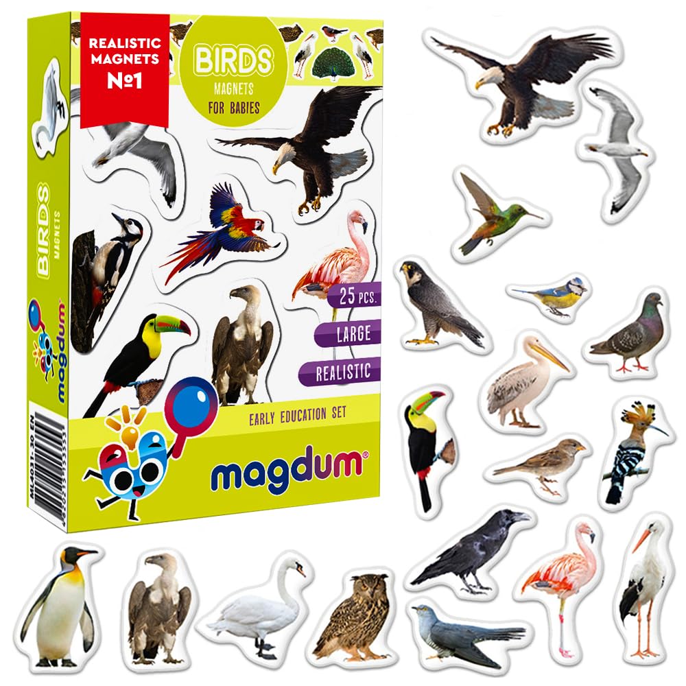 25 Fridge Magnets for Toddlers - Birds Photo Kids Magnets for Refrigerator – Real Magnetic Animals for Children – Big Realistic Magnet for Kids - Learning Toy Set - Baby Educational Gift