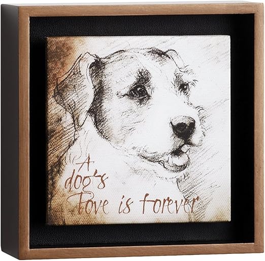 Big Sky para talladores de Jack Russel – Forever Caja de Sombra: Amazon.es: Hogar