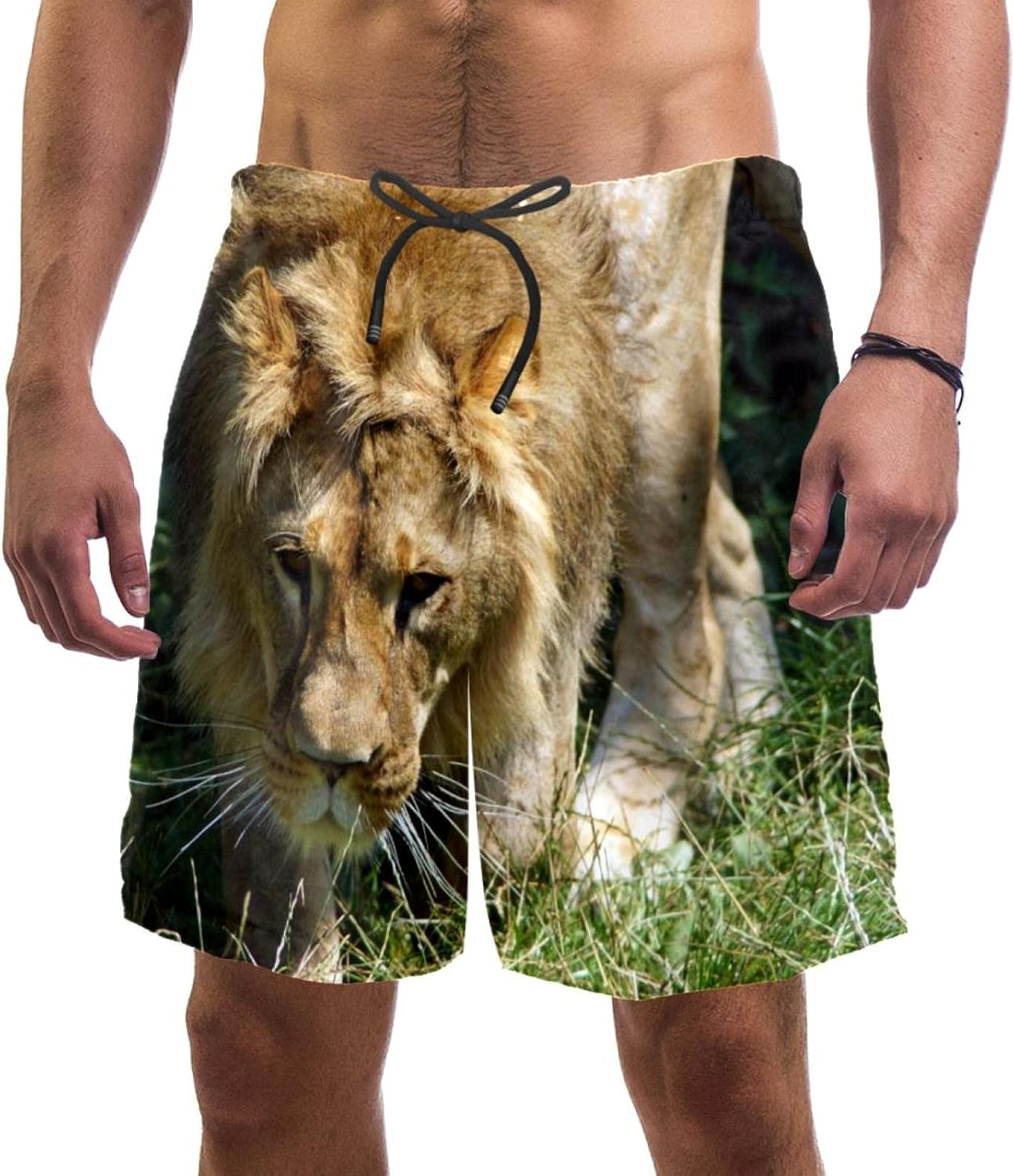 Beach Shorts Quick Dry Mens Shorts, Nature Lion Animal, Board Shorts