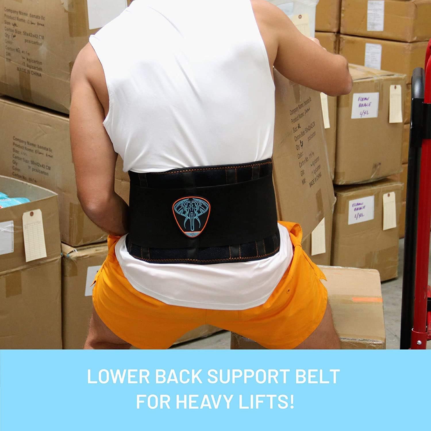 EVERYDAY MEDICAL Lumbar Support Belt I Lower Back Brace I Targeted Lower Back Pain Relief for Back Spasms Sciatica - Image 4