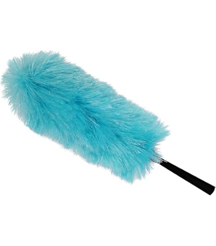Amazon.com: Fuller Brush 56040 Large Surface Duster with Handle