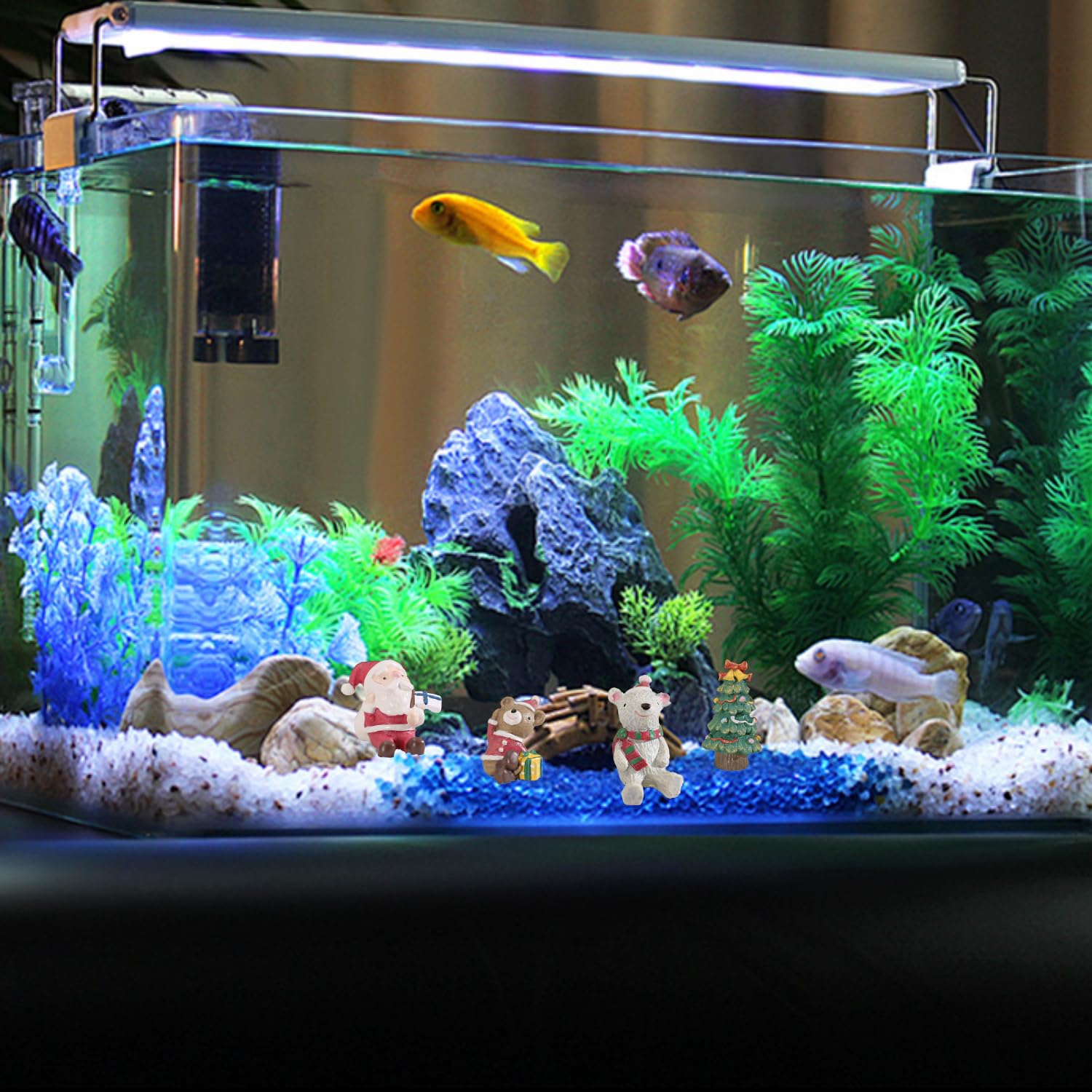 View 5