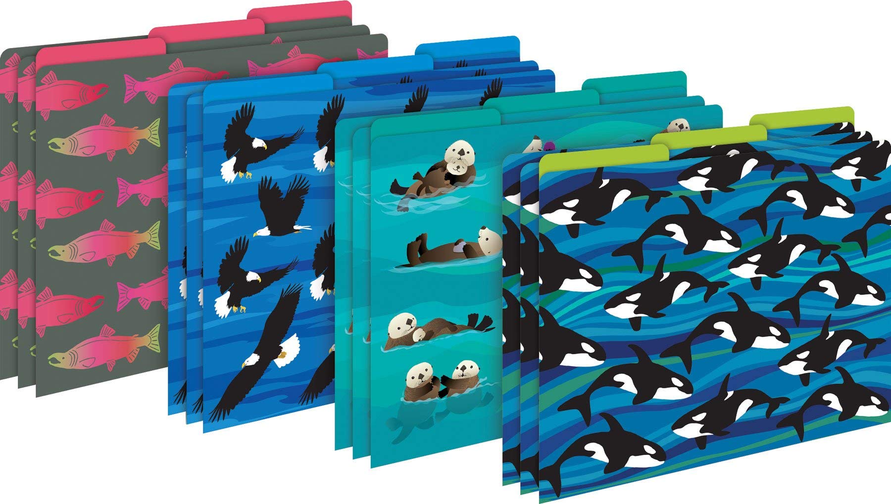 Barker Creek Designer File Folders Set of 12, Sea & Sky, Multi-Design, Reversible, Colorful Patterns Inside and Out, Letter Size, 1/3 Cut Tabs, 12-Pack, Home, School and Office Supplies (1377), Multi