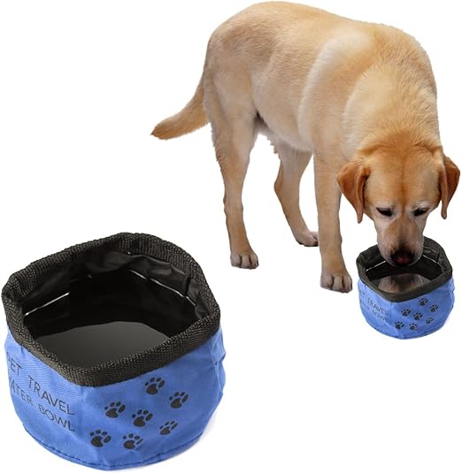best travel dog bowl