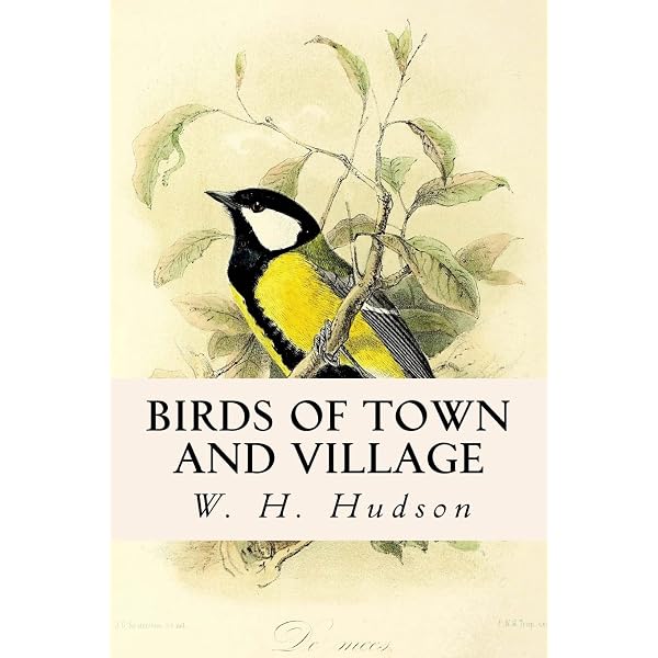 Amazon.com: Birds and their world: 9780600348832: Andrews, John
