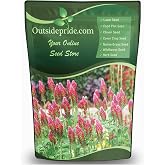 Outsidepride Crimson Clover Seeds - 10 lbs. Annual, Nitrocoated, &amp; Inoculated Ground Cover Seeds, Ideal Clover Seed for Lawn, Cover Crop, Pasture, Hay, Green Manure &amp; Wildlife Forage
