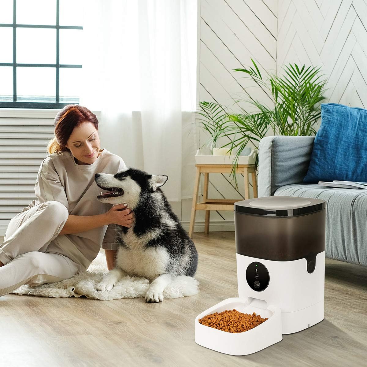 Kitchen & Dining : TTPet Automatic Cat Feeder with App Control, Timed Dog Food Dispenser, 4L Capacity, Bluetooth Enabled, Portion Control, Voice Recording, Timer Programmable up to 8 Meals a Day : 