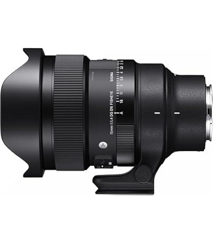 Amazon.com : 14MM F1.4 DG DN | A for Sony E : Electronics