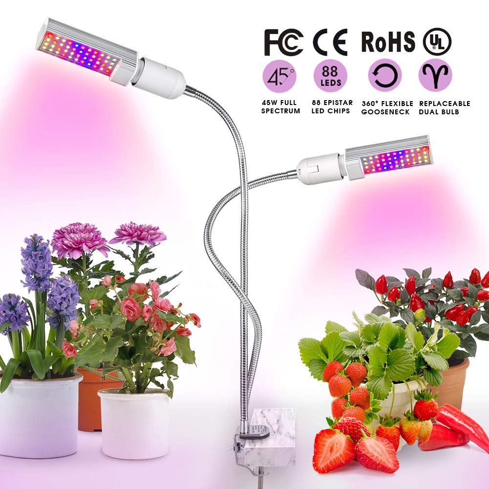 Best led desk lamp with replaceable bulb