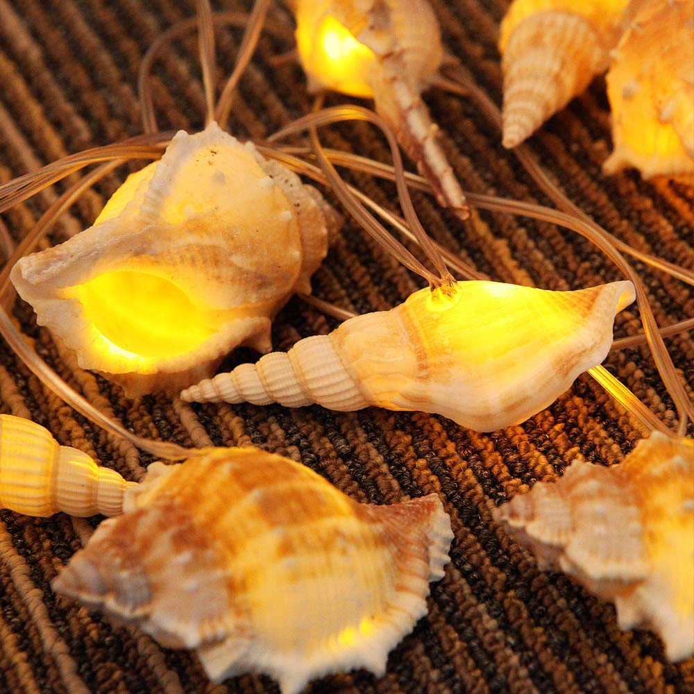Photo 1 of Starryfill Ocean Real Conch 10 LED String Lights 9.0Ft Waterproof Battery Operated Warm White with Timer for Beach Themed Indoor Covered Outdoor Birthday Wedding Parties Decoration