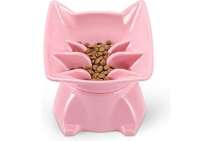 DNOYEUS Small Elevated Slow Feeder Cat Bowl, Cute Tilted Elevated Bowls and Dishes for Cats & Small Dogs, Whisker Friendly, Anti Vomiting Raised Pet Bowl for Dry and Wet Food, Pink