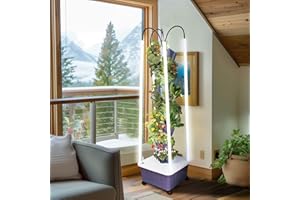 WISDOMRAINBOW Hydroponic Growing System with Grow Lights, Indoor Gardening System, Grow Plant Food at Home with 40 Pieces at a time for Fruits, Vegetables, Herbs, and Miniature Greens (No Seedlings Included)