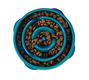 Top 10 Best Slow Feeder Dog Bowls Tested And Unbiased Reviewed