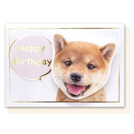 Amazoncom 6 Bulk Shiba Inu Happy Birthday Card Die Cut