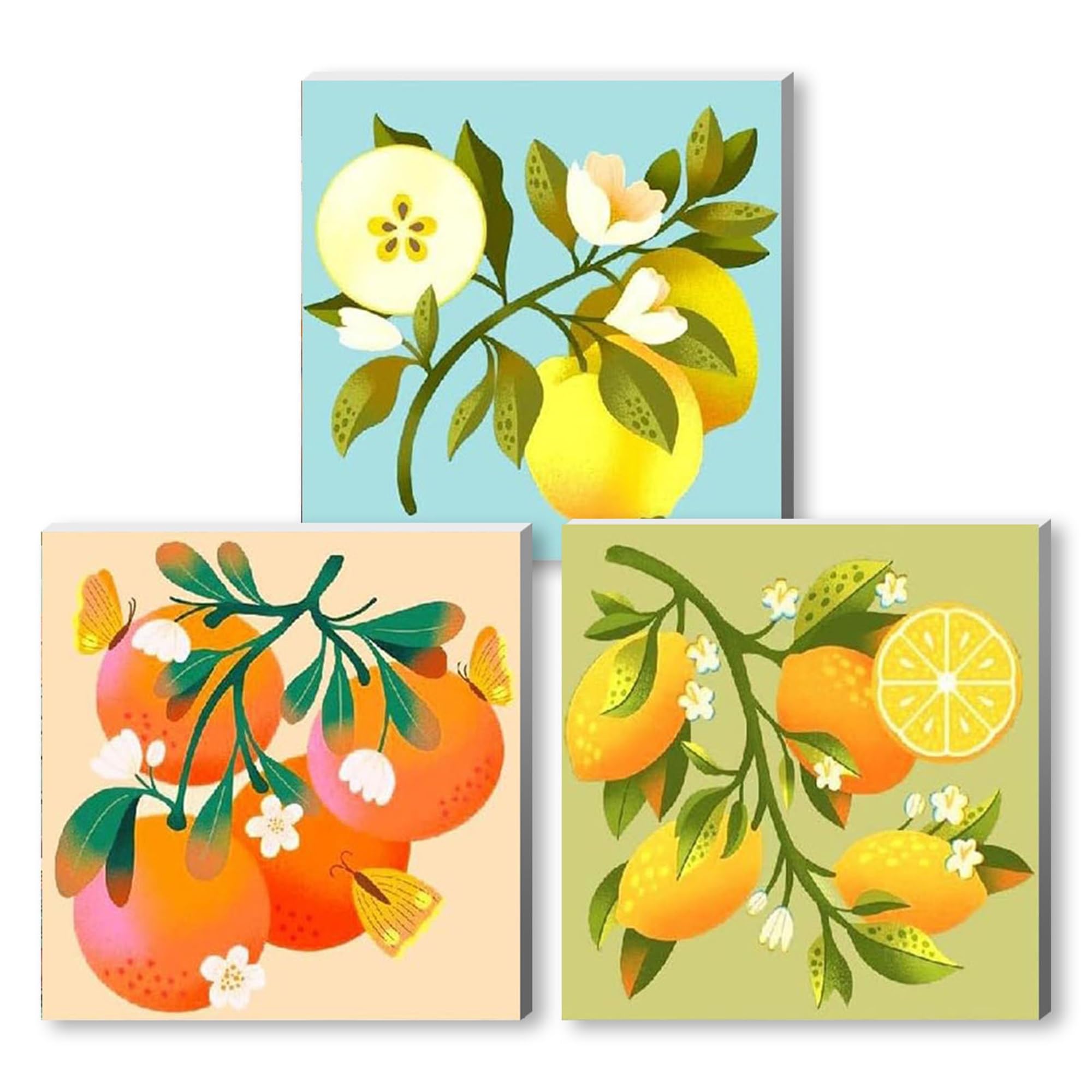 NZNANCHU 3PCS Fruit DIY Paint by Number for Adults,Wooden Framed Painting Kits for Adult,Easy Color by Numbers,Small Paint by Number Canvas Crafts Watercolor for Beginner Room Decor