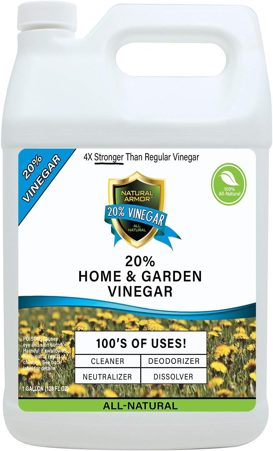 Best vinegar and carpet cleaning