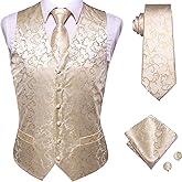 Hi-Tie 5PCS Mens Silk Suit Vests and Tie Lapel Pin Set Paisley Floral Waistcoat Necktie God Tie Clip Set Wedding Party