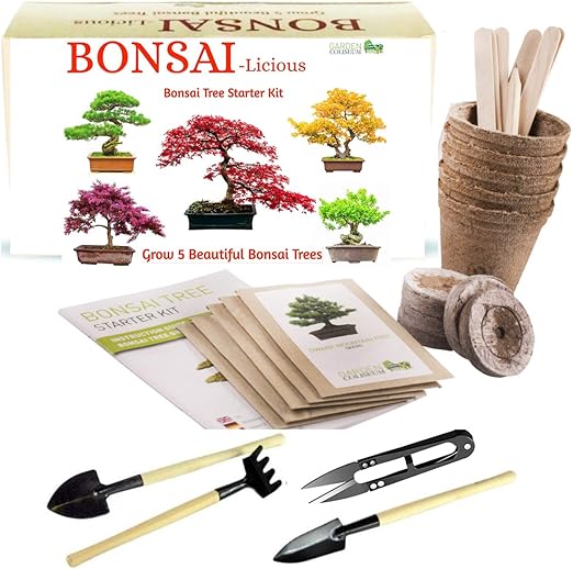 Kit per la Coltivazione di Un Albero Bonsai, mini kit di attrezzi per