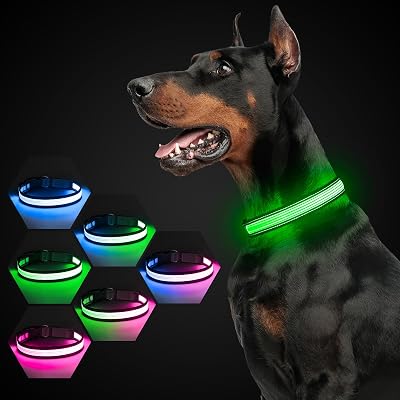 YFbrite 7 Flashing Modes USB Rechargeable Multi-Color Dog Collar Light Gray