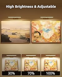 EZVALO Picture Light for Wall, 4800mAh Rechargeable