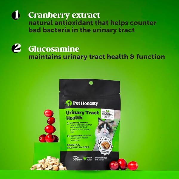 CAT URINARY TRACT HEALTH CRUNCHY & CREAMY CHEWS – PROMOTES HEALTHY DIGESTION & NORMAL BLADDER FUNCTION WITH CRANBERRY, ANTIOXIDANTS, & PROBIOTICS – GUT + BLADDER SUPPORT SUPPLEMENT (30 DAY SUPPLY)