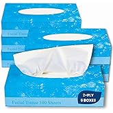 1InTheOffice Facial Tissue Paper, White Tissue, Flat Box with 100 Sheets, Soft 2-Ply, 6 Pack