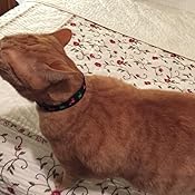 beastie bands amazon