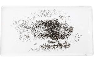 GSC International MAGFLD Magnetic Field Demonstration - Explore Magnetism in Science Education. Size 6.4 x 3.6 x .45 inches.