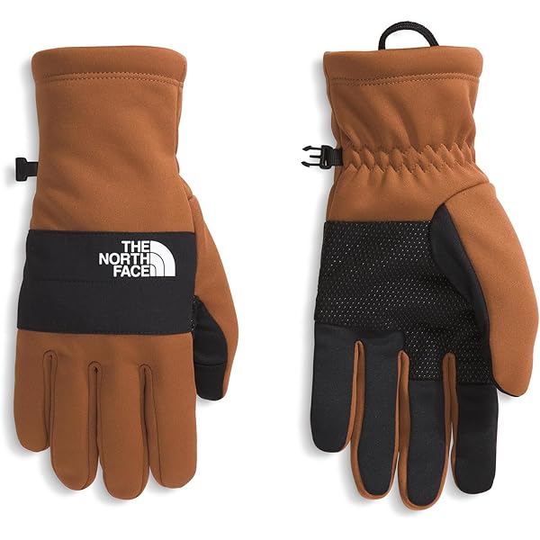 The North Face Men's Apex + Etip Glove, TNF Black, Small at