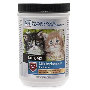 8 Best Kitten Milk Replacer Reviews - Crittersitca