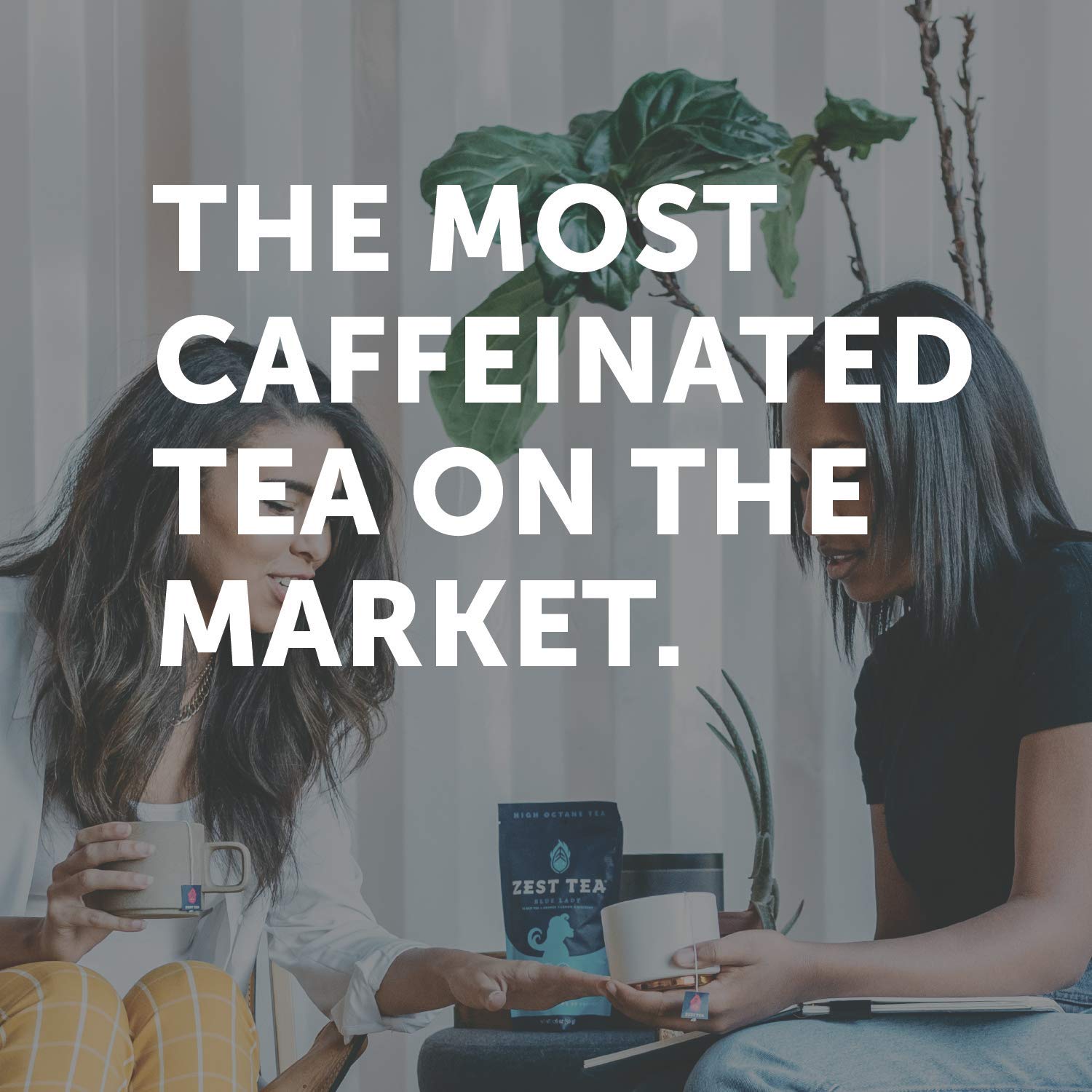 Zest Tea Energy Hot Tea, High Caffeine Blend Natural & Healthy Coffee Substitute, Perfect for Keto, 20 servings (150mg Caffeine each), Compostable Teabags (No Plastic) - Blue Lady Black Tea : Grocery & Gourmet Food