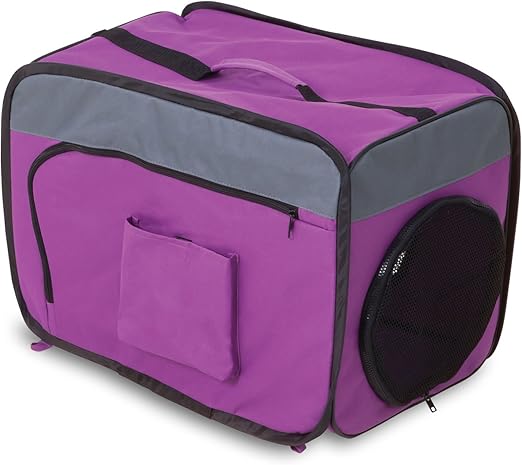 cat scratching and losing fur