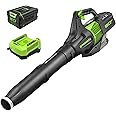Greenworks 80V (145 MPH / 580 CFM / 75+ Compatible Tools) Cordless Brushless Axial Leaf Blower, 2.5Ah Battery and Charger Included