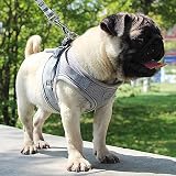 DXiongW 10x Swivel Eye Bolt Snap Hook 2 Inch Zinc Alloy Dog Lead Clasp view 7