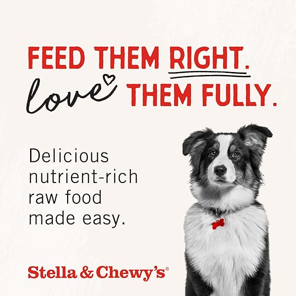 STELLA & CHEWY’S FREEZE DRIED RAW DINNER PATTIES – GRAIN FREE DOG FOOD, PROTEIN RICH STELLA’S SUPER BEEF RECIPE – 5.5 OZ BAG