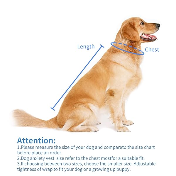 MCHY DOG ANXIETY VEST, ANXIETY RELIEF FOR DOGS, DOG CALMING COAT (ROSE M)