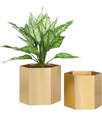 Amazon.com: MyGift Metallic Brass Metal Hexagon Planter Pots Set
