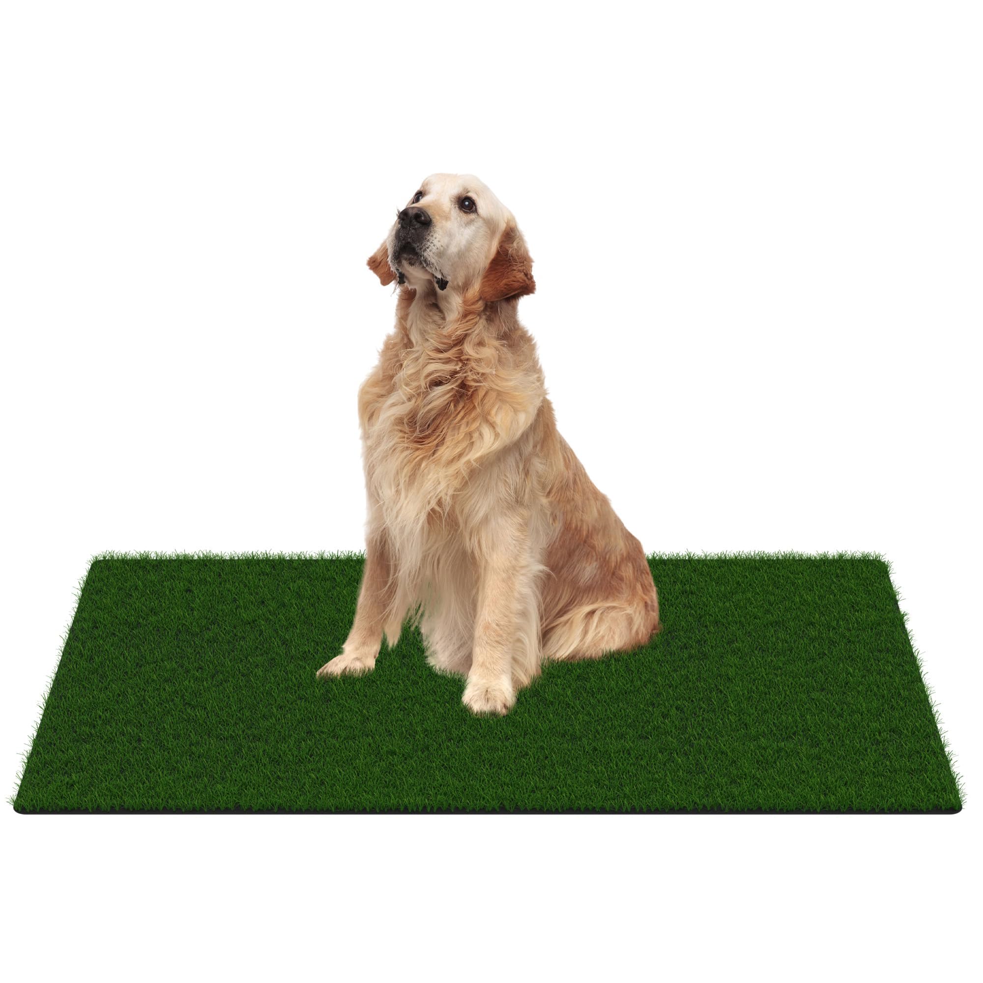 Photo 1 of MAYSHINE Fake Grass for Dogs, Artificial Turf Grass Indoor Outdoor, Mat for Dogs Soft Blades, Cesped Artificial for Patios, Dog Astro Turf for Balcony, Quick Clean, Easy Rinse Patio Rug, 29.5"x17"