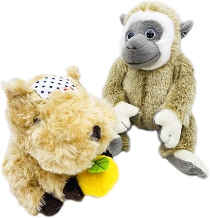 Amazon 伊豆シャボテン本舗 ぬいぐるみ 元祖 カピバラ 人気動物 2点セット シロテテナガザル ぬいぐるみ おもちゃ