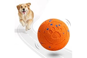 Fsitego Dog Balls: Interactive Dog Ball Auto Rolling - Interactive Dog Toys for Aggressive Chewers - Bouncy & Throwable, Type