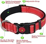 ATETEO Reflective Dog Collar Adjustable Nylon Neoprene Padding Red M 13-19.7in view 2