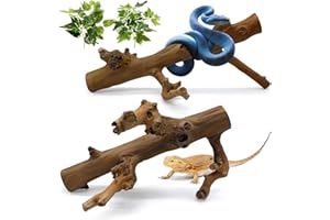 kathson 2PCS Snake Climbing Branch,Reptile Wood Branches Decor, Lizard Natural Polished Wood Climb Accessories,Reptiles Habitat Tank Tree Trunk Decorations for Bearded Dragon Geckos Chameleons Frog